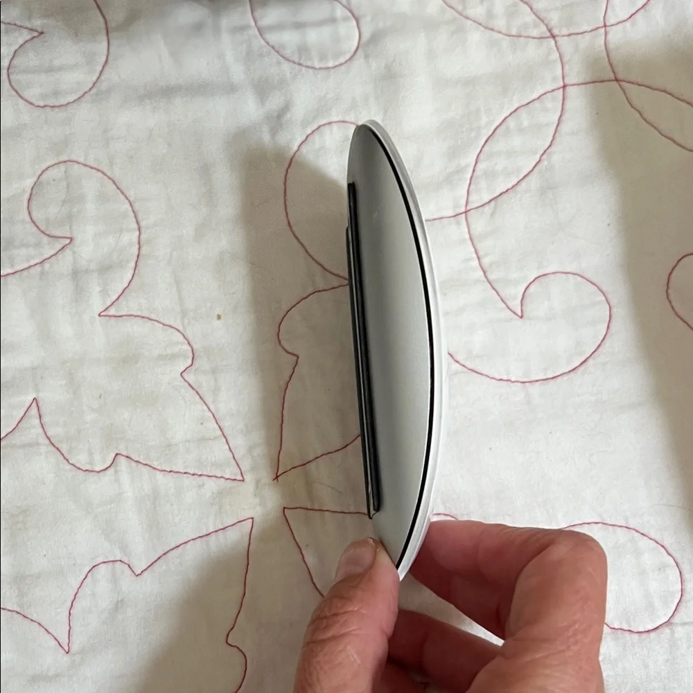 Apple elegant mouse